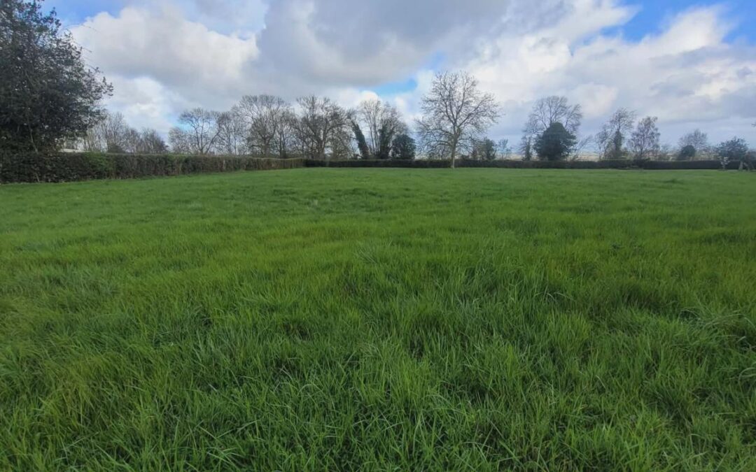 Vente Terrain – à Méricourt-en-vimeu – Somme (80640)